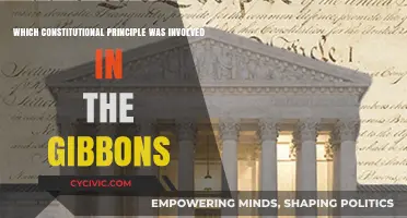 The Gibbons Case: Commerce Clause and Federal Power