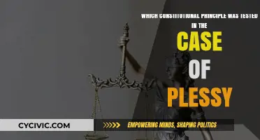 The Plessy Case: Testing Constitutional Equality Principles