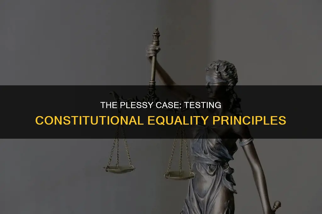 which constitutional principle was tested in the case of plessy
