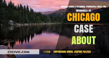 McDonald vs Chicago: The Right to Bear Arms