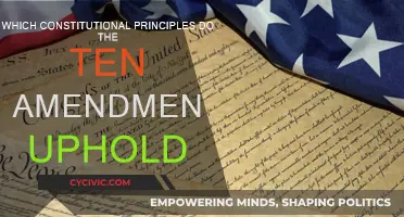 Amendments: Upholding Constitutional Principles