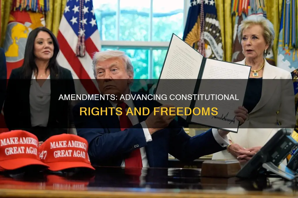 which constitutional provision did the most to advance