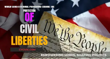 Civil Liberties: Constitutional Provisions for Protection