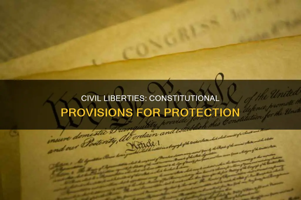 which constitutional provisions ensure the protection of civil liberties