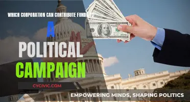 Corporations Funding Political Campaigns: Legality and Limits