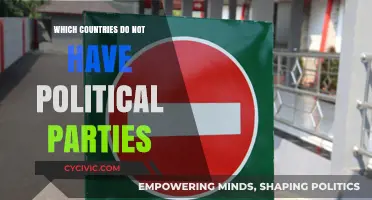 Exploring Nations Without Political Parties: A Unique Governance Perspective