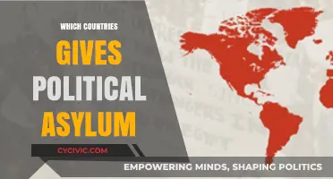 Global Safe Havens: Countries Offering Political Asylum to Refugees