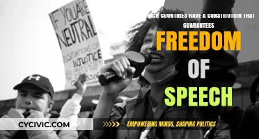 Constitutional Freedom of Speech: A Global Overview
