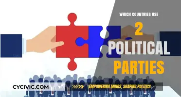 Two-Party Dominance: Exploring Countries with Bipartisan Political Systems