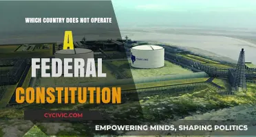 Federalism: Nations Without a Federal Constitution
