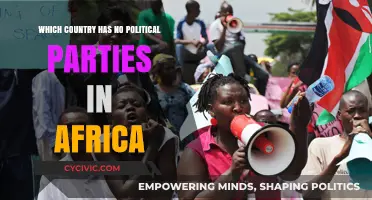 Africa's Unique Democracy: Exploring the Nation Without Political Parties