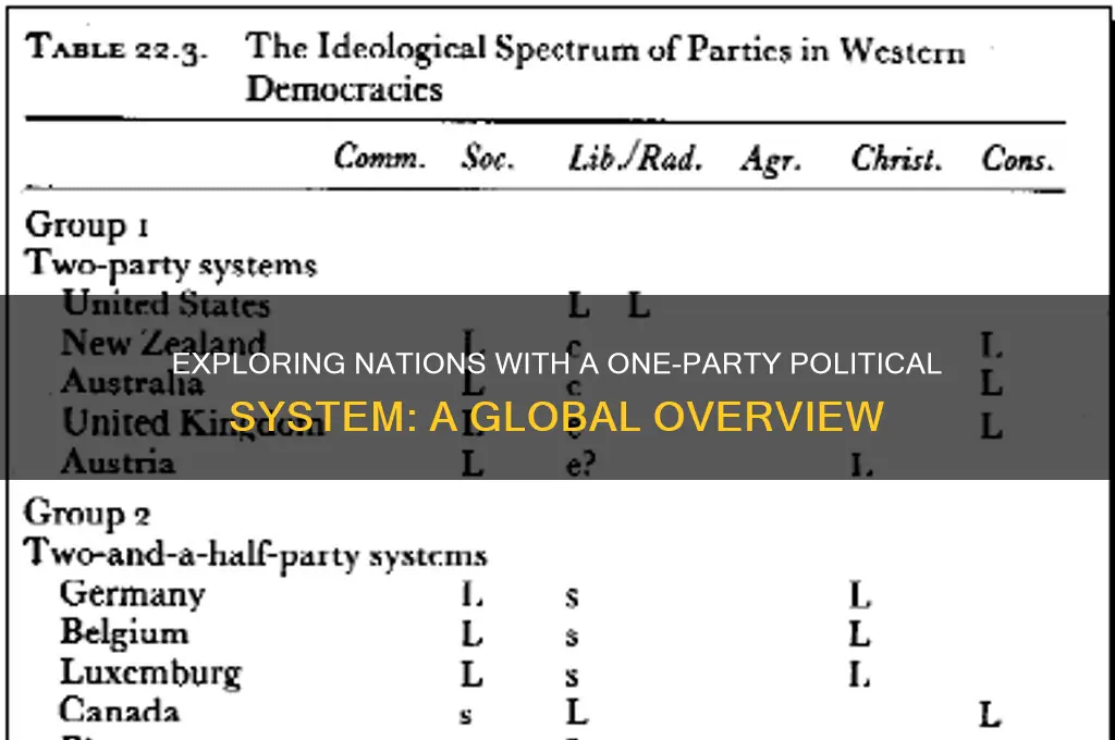which country has one party political system