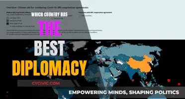 Mastering Diplomacy: Which Country Leads the World?