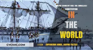 Shortest Constitutions: Small in Size, Big in Impact