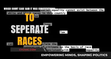Racial Segregation: A Court-Sanctioned Divide