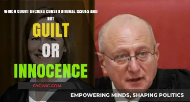 Court's Role: Interpreting Constitution, Not Deciding Guilt