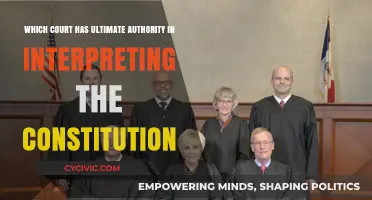 Who Holds the Power to Interpret the Constitution?