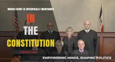 The Supreme Court: Our Constitution's Highest Mention