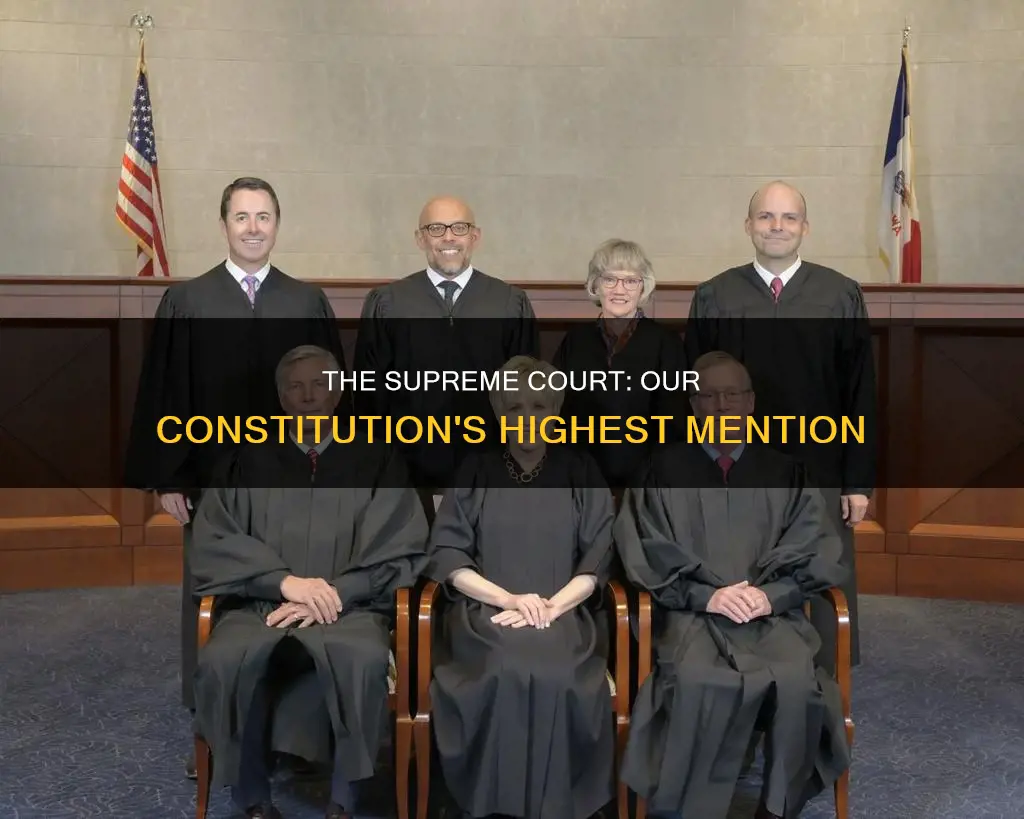 which court is specifically mentioned in the constitution