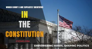 The Constitution's Explicit Court Identification