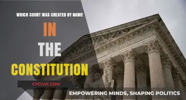 The Supreme Court: Our Founding Fathers' Vision