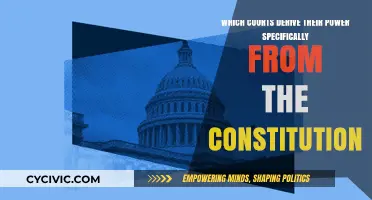 The Constitution's Power: Courts' Authority