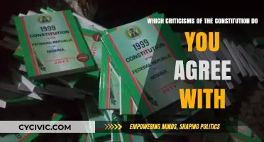 The Constitution: What's Wrong With It?