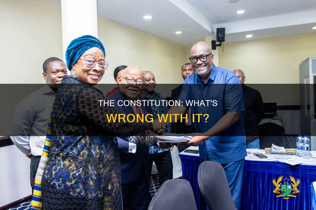 which criticisms of the constitution do you agree with