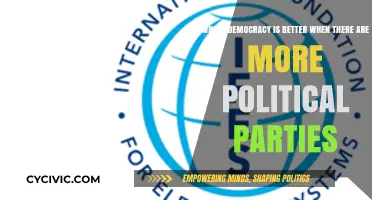 Multi-Party Democracy: Does More Political Diversity Strengthen Governance?