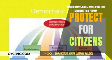 The Constitution: Safeguarding Our Democratic Rights and Freedoms