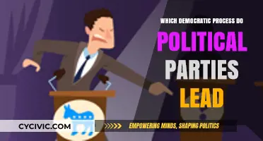 How Political Parties Shape Democratic Processes and Public Policy