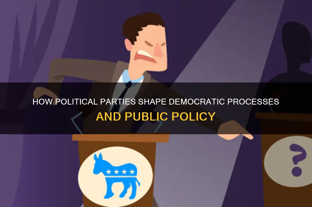 which democratic process do political parties lead