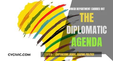 Diplomatic Agenda: Who Executes Foreign Policy?