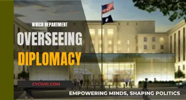 Diplomacy and International Relations: A Department's Oversight