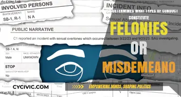 Criminal Law: Defining Felonies and Misdemeanors