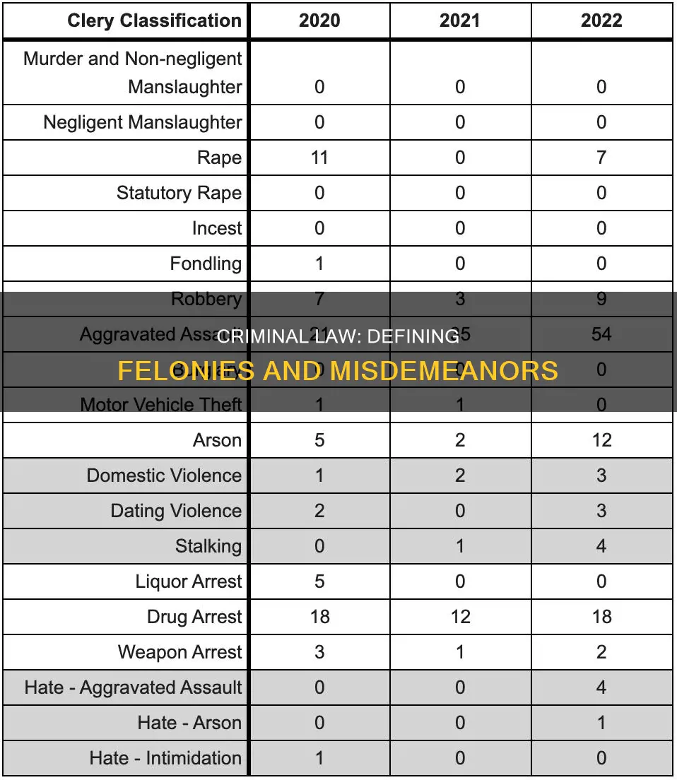 which determines what types of conduct constitute felonies or misdemeanors