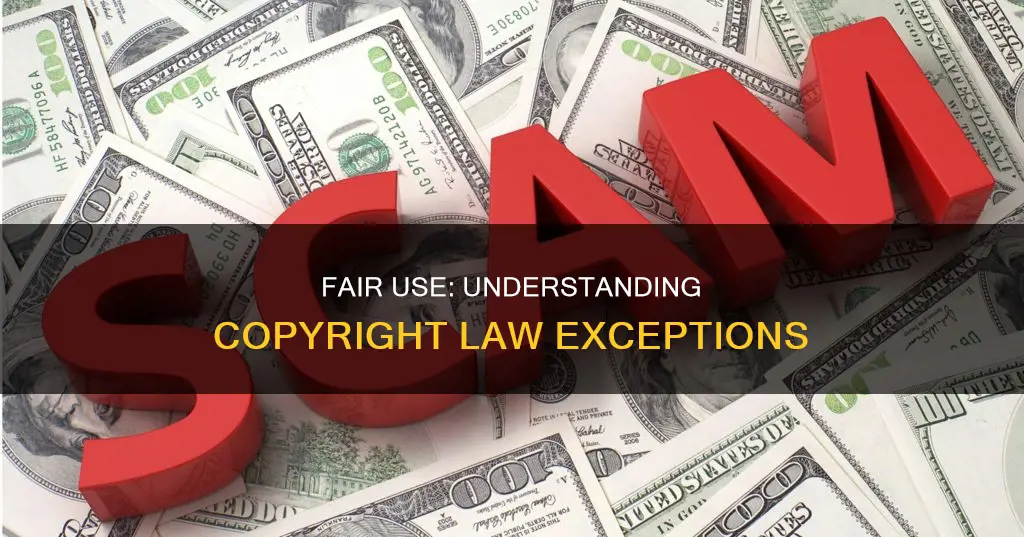which does not constitute fair use of copyrighted material cmpe