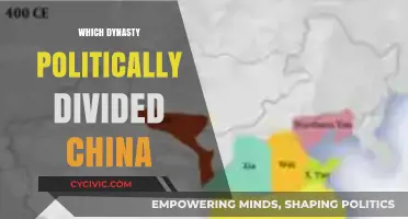 The Jin Dynasty's Political Division of China: A Historical Overview