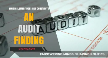 Audit Findings: What's Not an Issue?