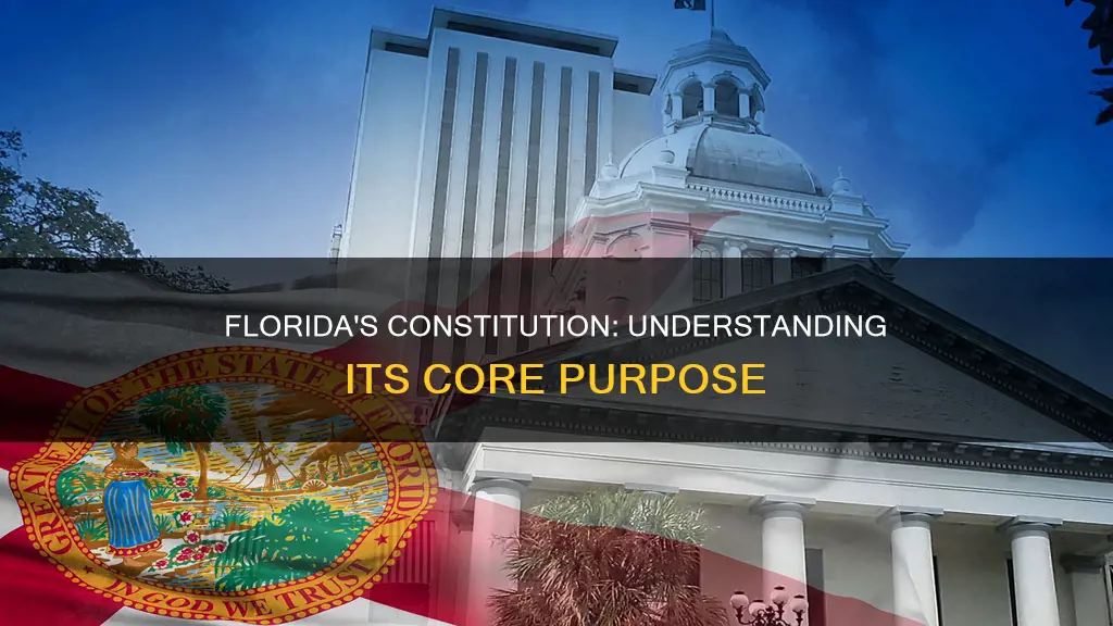 which element explains the purpose of florida