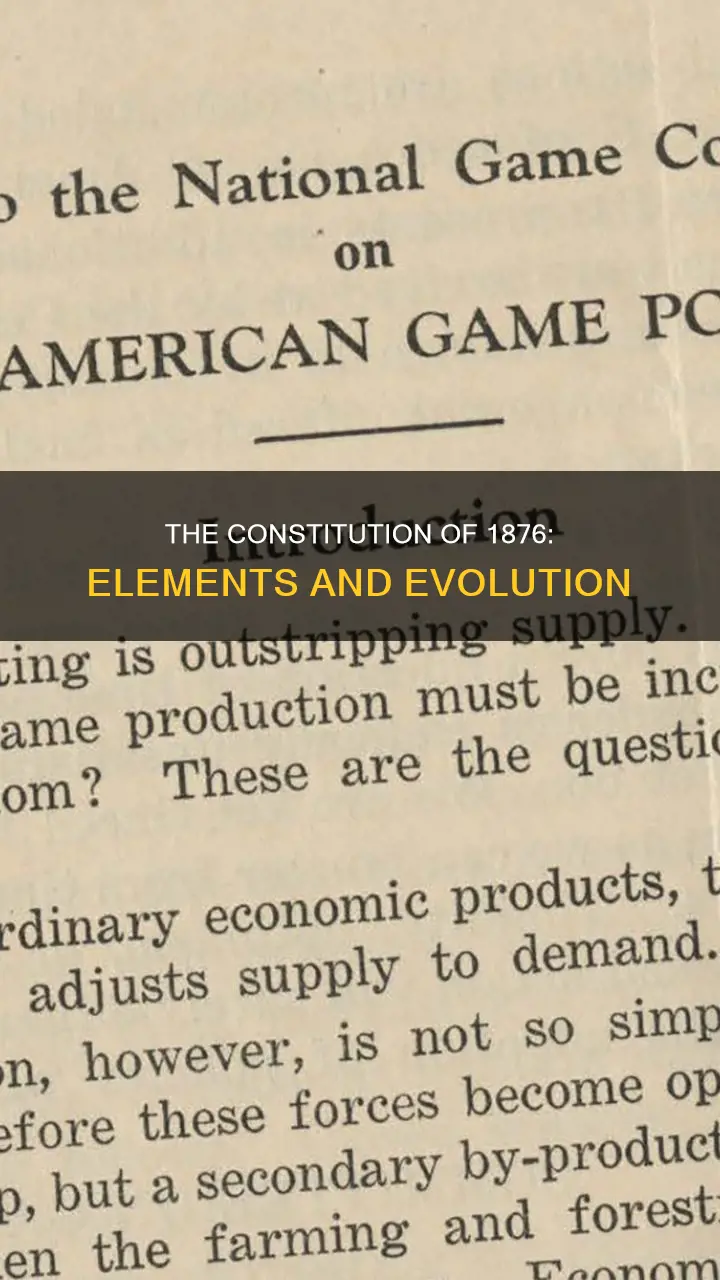which elements were present in the constitution of 1876