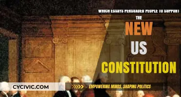 Essays That Shaped the US Constitution