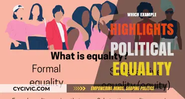 Empowering Voices: Examples That Define Political Equality in Action