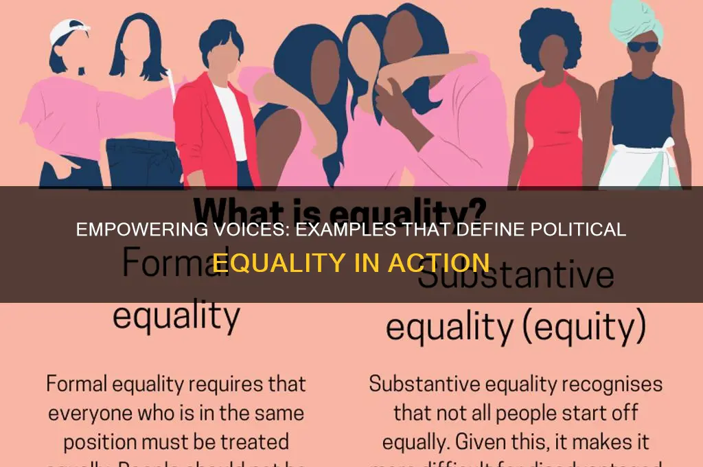 which example highlights political equality