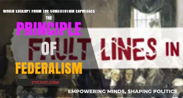 Federalism: The Constitution's Excerpt on Power Division