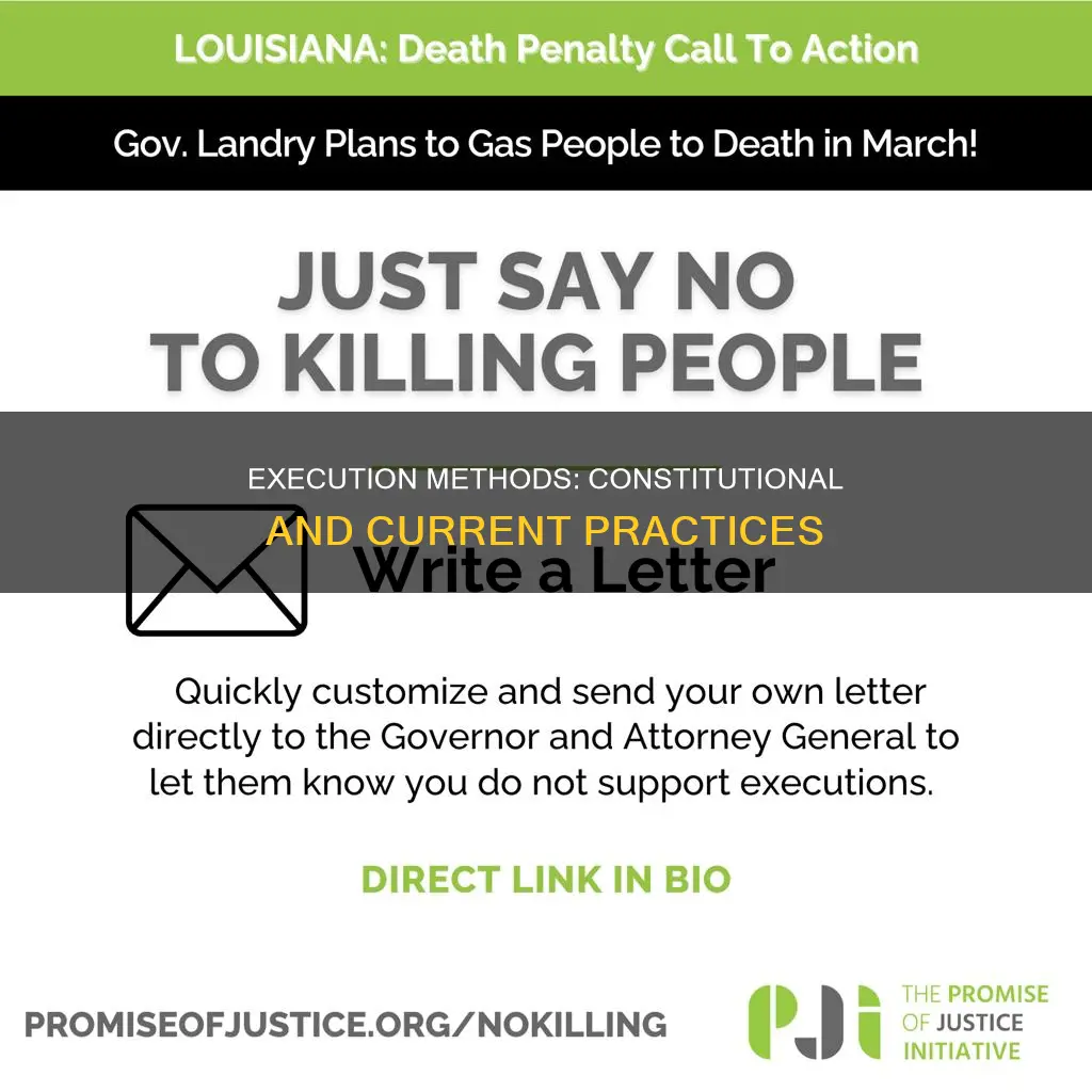 which execution methods are constitutional and still are used