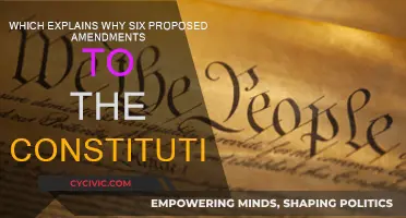 Understanding Proposed Amendments to the Constitution