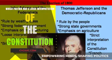 Loose Constitution Interpretations: Factions and Their Motives