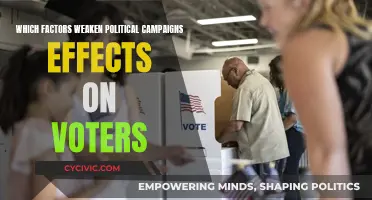 Political Campaign Influence: Factors Weakening Voter Impact