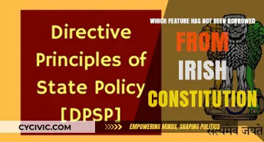 The Irish Constitution: Unique Features and Borrowed Ideas